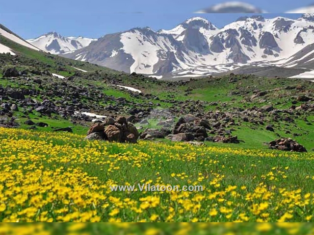 روستای آلوارس